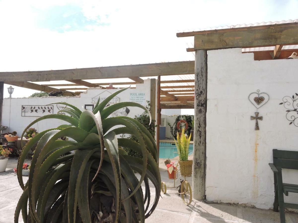 Honnehokke Resort Hondeklipbaai Экстерьер фото